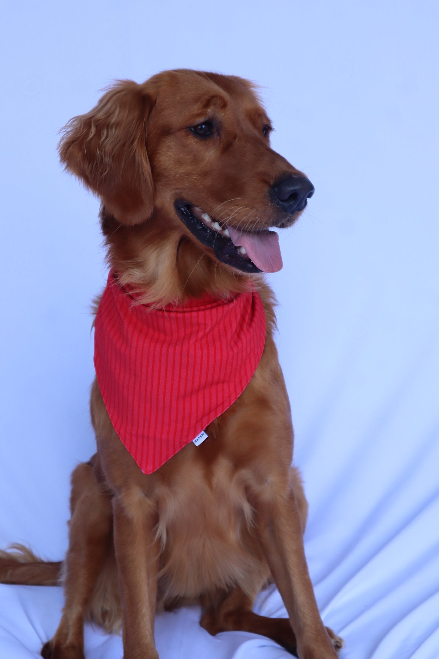 Dog Bandana - Santa’s Stripes