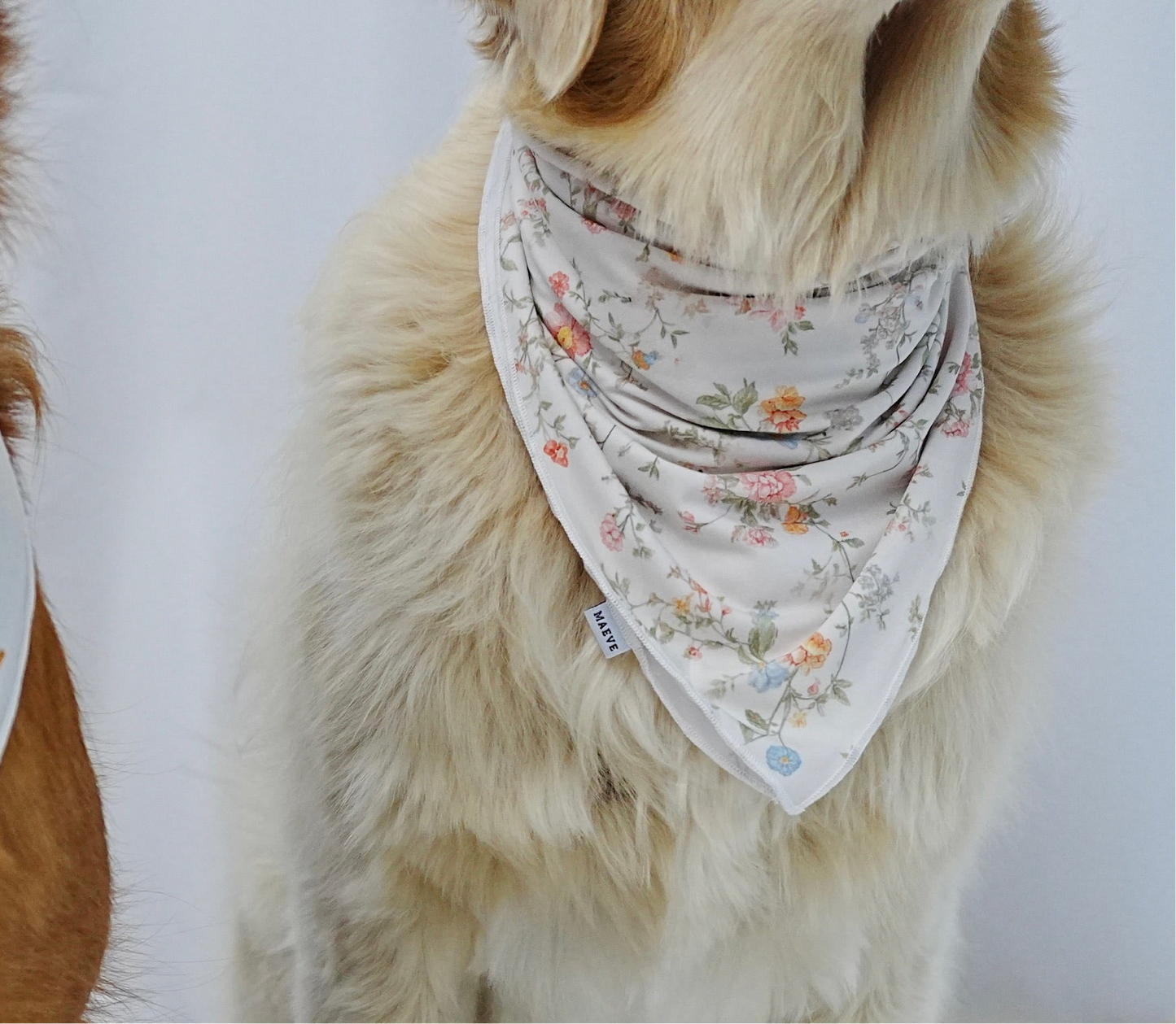 Dog Bandanas - Ellery’s Enchantment