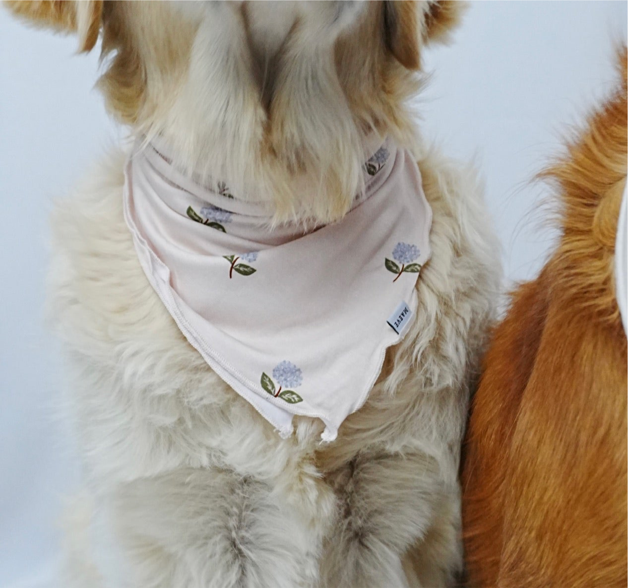 Dog Bandanas - Baby in Bloom