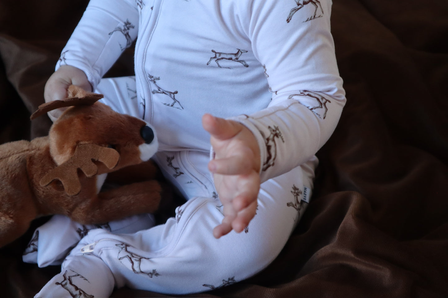 Zippy - Dancing Deer