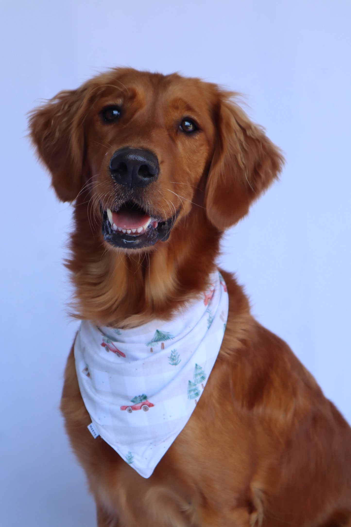 Dog Bandana - Merry Motors