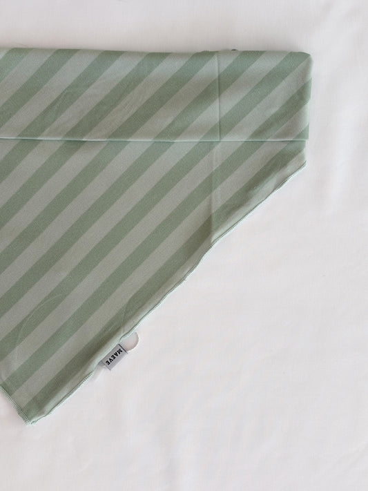Dog Bandanas - Sprout Stripes