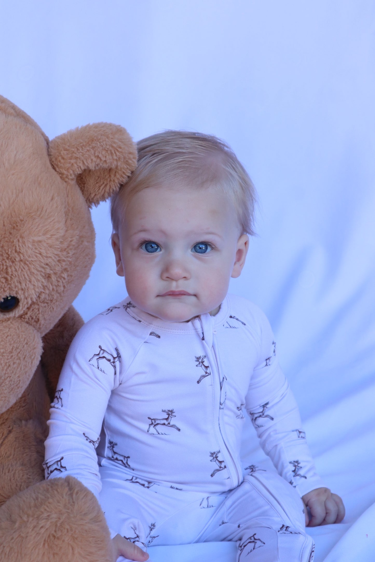 Zippy - Dancing Deer