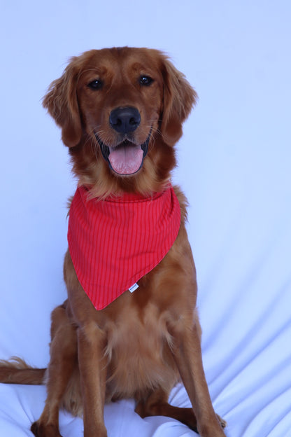 Dog Bandana - Santa’s Stripes