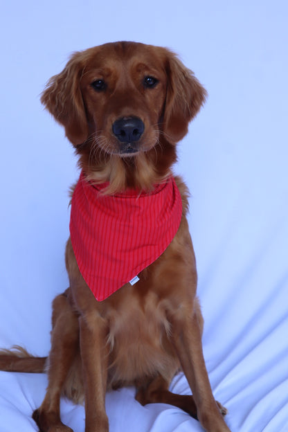 Dog Bandana - Santa’s Stripes
