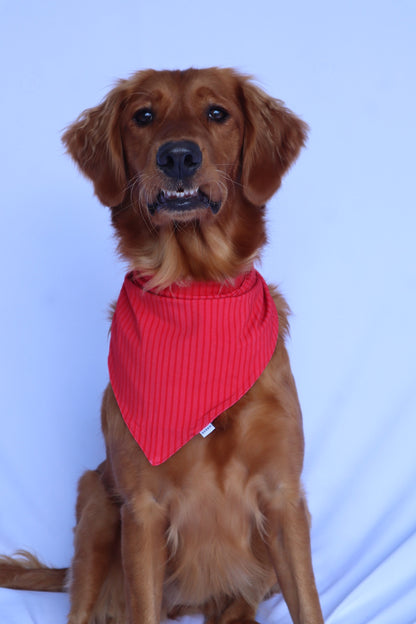 Dog Bandana - Santa’s Stripes