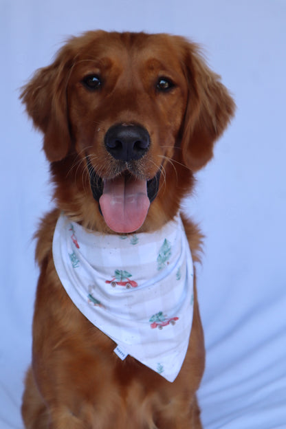 Dog Bandana - Merry Motors
