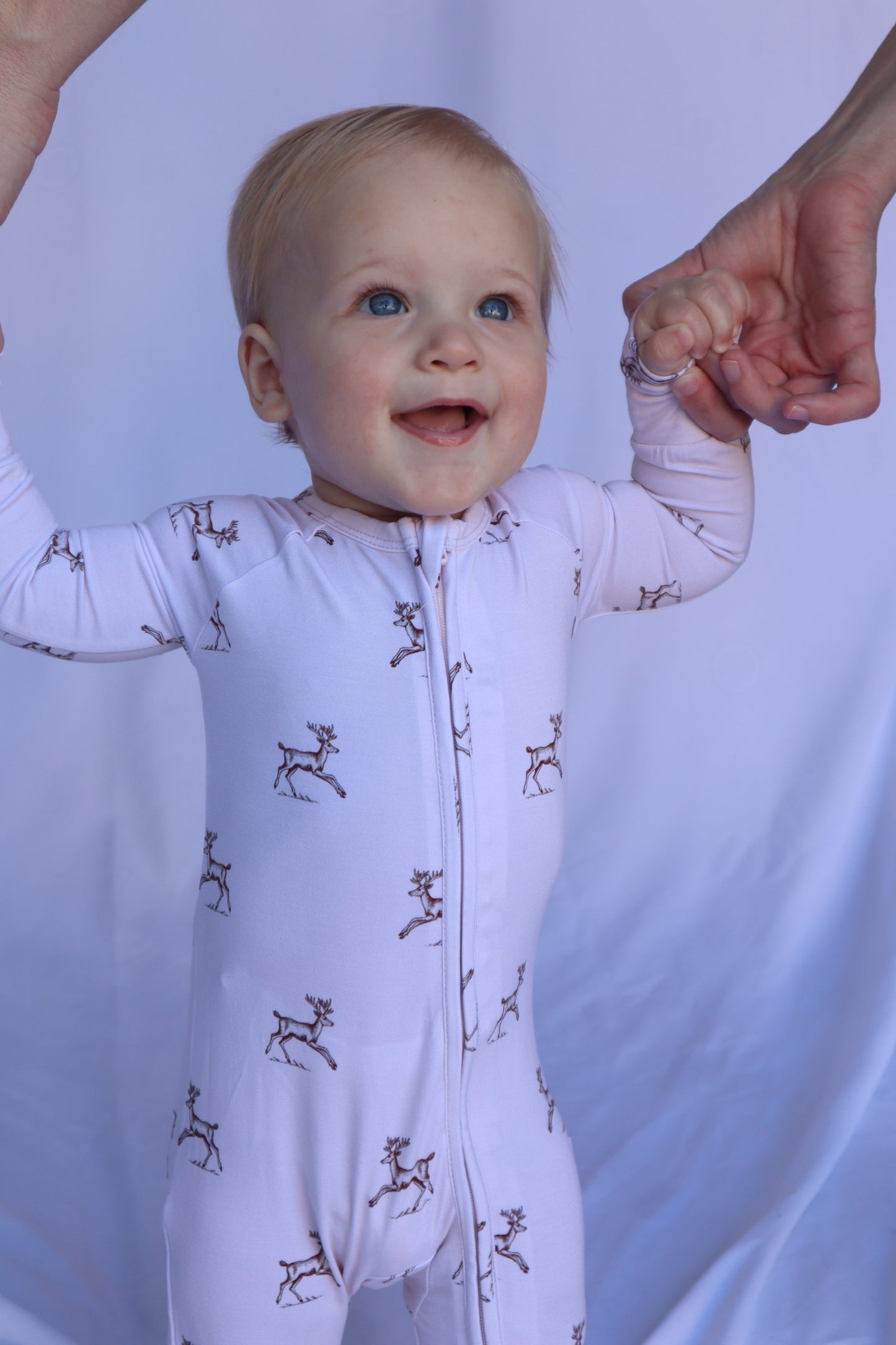 Zippy - Dancing Deer